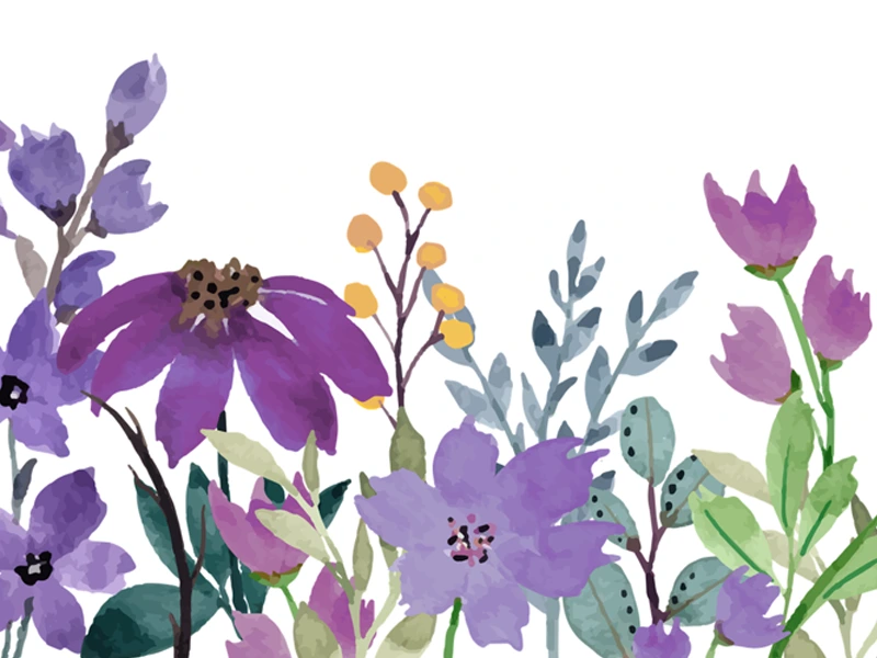 Caregiver Wellness Morning